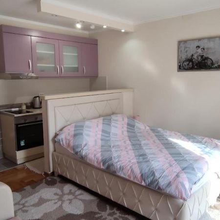 Alex 2 Apartman Vrnjačka Banja Екстериор снимка