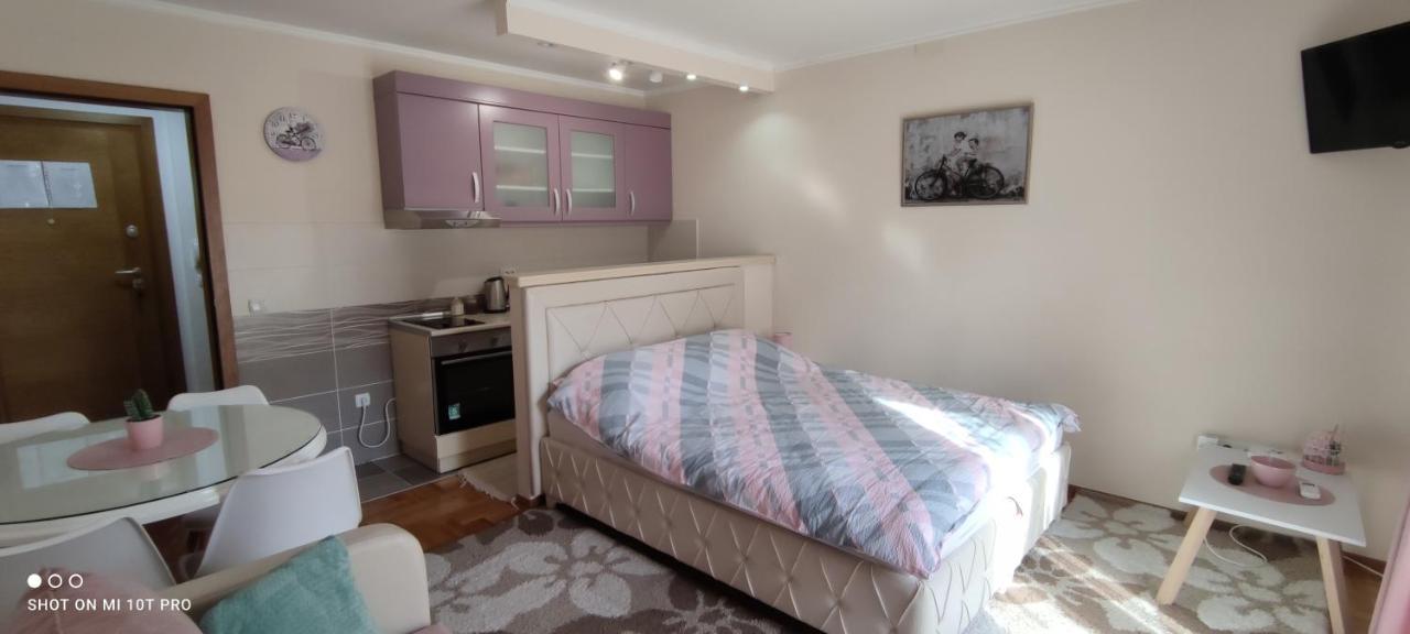 Alex 2 Apartman Vrnjačka Banja Екстериор снимка