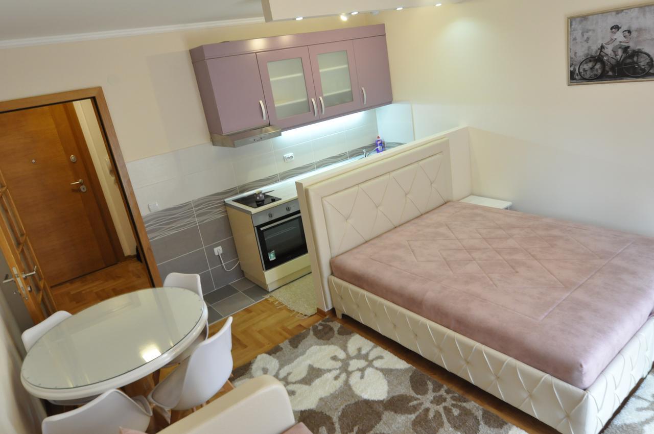 Alex 2 Apartman Vrnjačka Banja Стая снимка