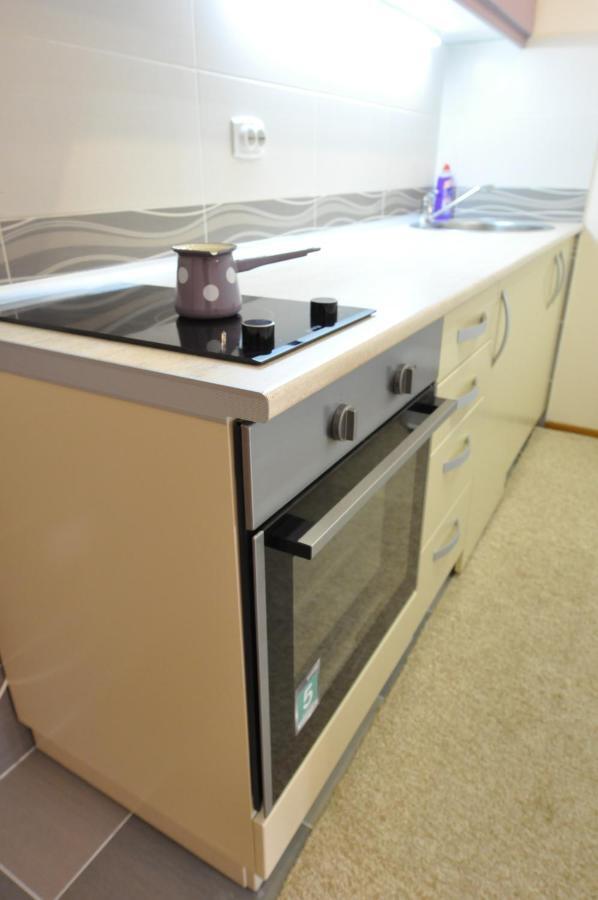Alex 2 Apartman Vrnjačka Banja Стая снимка