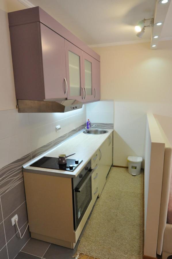 Alex 2 Apartman Vrnjačka Banja Стая снимка